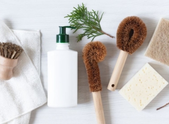 7 Small Businesses Leading the Green Movement