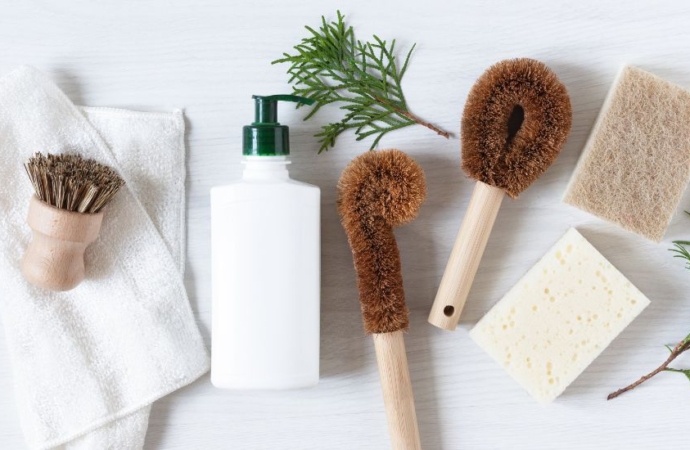 7 Small Businesses Leading the Green Movement