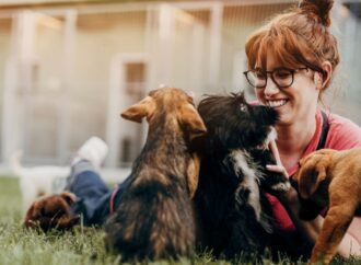 8 Small-Town Animal Shelters in the U.S. Saving Pets and Bringing Joy to Homes