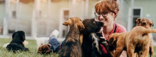 8 Small-Town Animal Shelters in the U.S. Saving Pets and Bringing Joy to Homes