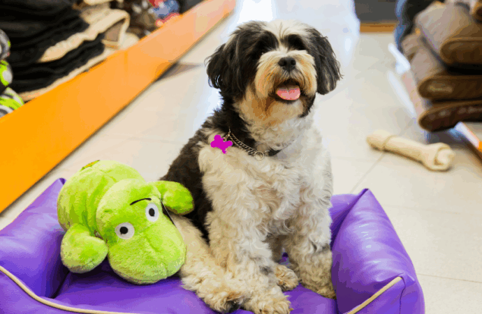Six Artisan Pet Businesses Crafting Love Into Every Product