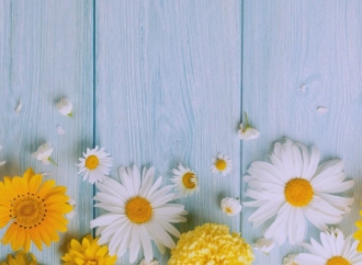 How a Quebec Garden Designer Built a Cult Following Through Mindful Landscaping