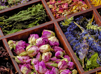 6 Organic Tea Brands Brewing Sustainability and Soul into Every Cup