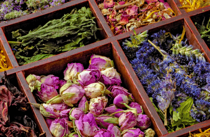 6 Organic Tea Brands Brewing Sustainability and Soul into Every Cup