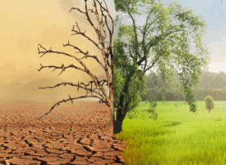 8 Women-Led Startups in North America Tackling Climate Challenges