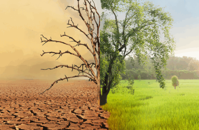 8 Women-Led Startups in North America Tackling Climate Challenges