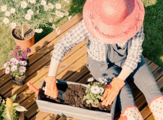 5 Sustainable Lawn Startups Making Green Beautiful and Chemical-Free