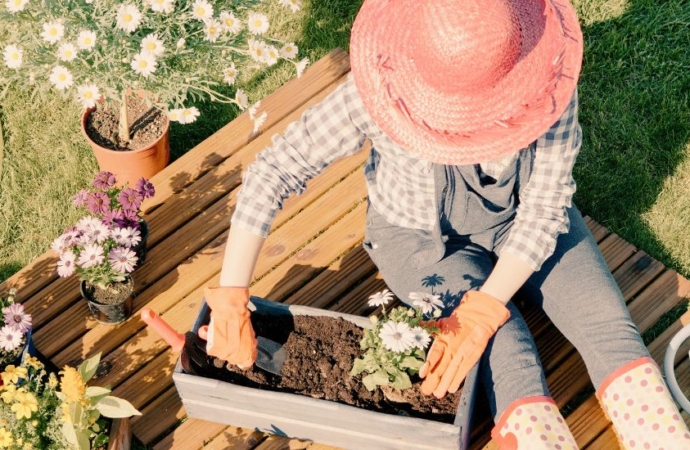 5 Sustainable Lawn Startups Making Green Beautiful and Chemical-Free