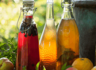 8 Kombucha Brewers Fermenting Health and Flavor in Every Bottle